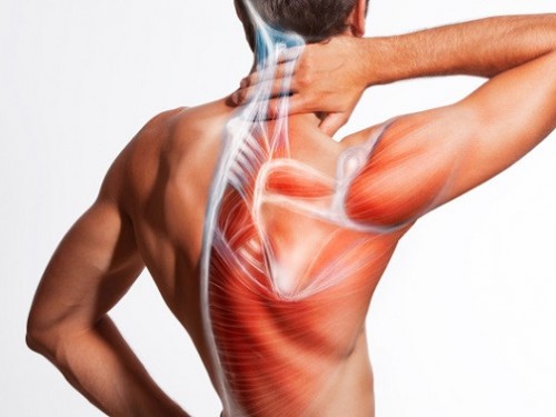 Новинка! "Здоровая спина для мужчин"